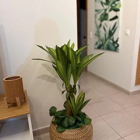Ahs Premium 2 Bedrooms 2 Pools Ps4 5 Min Algarve Armação de Pêra